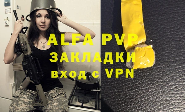spice Богданович