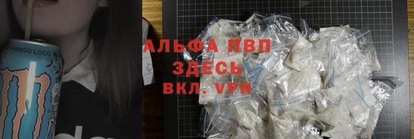 spice Богданович