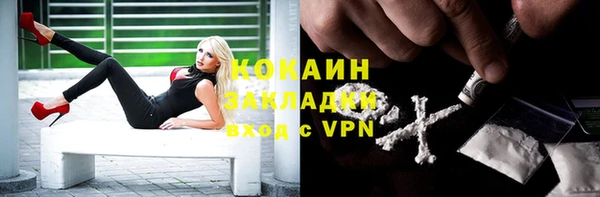 apvp Бородино
