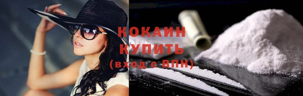 стаф Богородицк