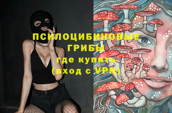 стаф Богородицк