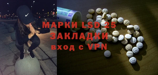 apvp Бородино