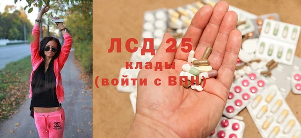 spice Богданович