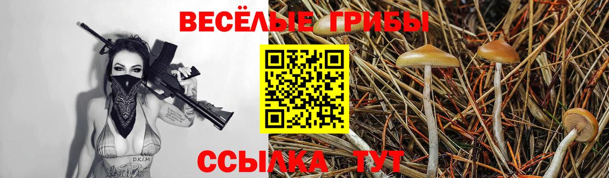 Галлюциногенные грибы ЛСД  Галлюциногенные грибы Magic Shrooms  Валуйки  Вход с VPN 