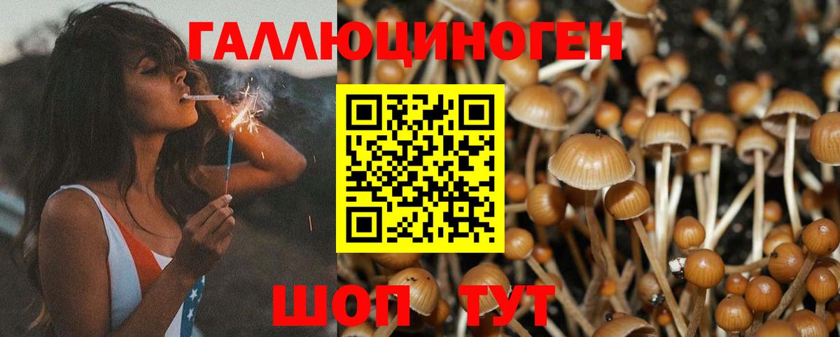 Псилоцибиновые грибы ЛСД Валуйки